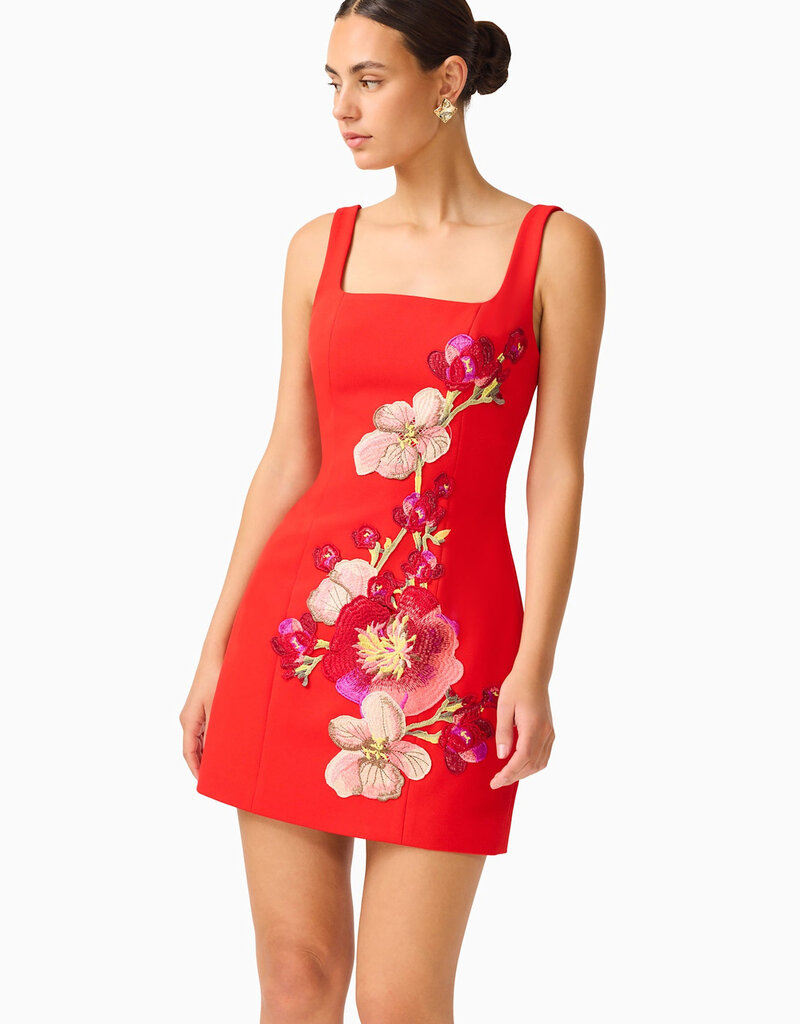 Elliatt Fleurisca Embroidered Party Mini Dress