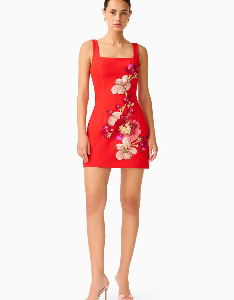 Elliatt Fleurisca Embroidered Party Mini Dress