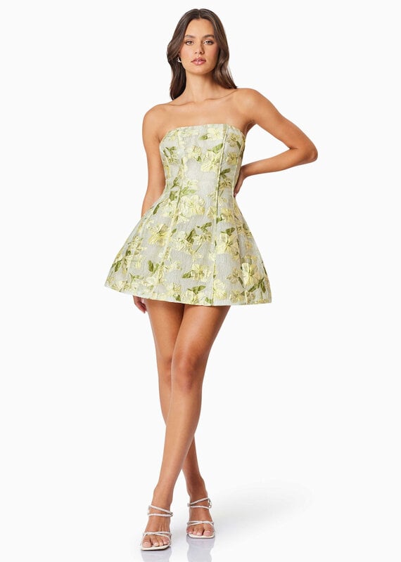 Elliatt Darner Floral Jacquard Strapless Mini Dress