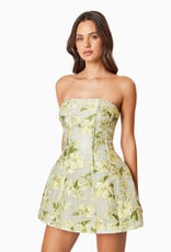 Elliatt Darner Floral Jacquard Strapless Mini Dress