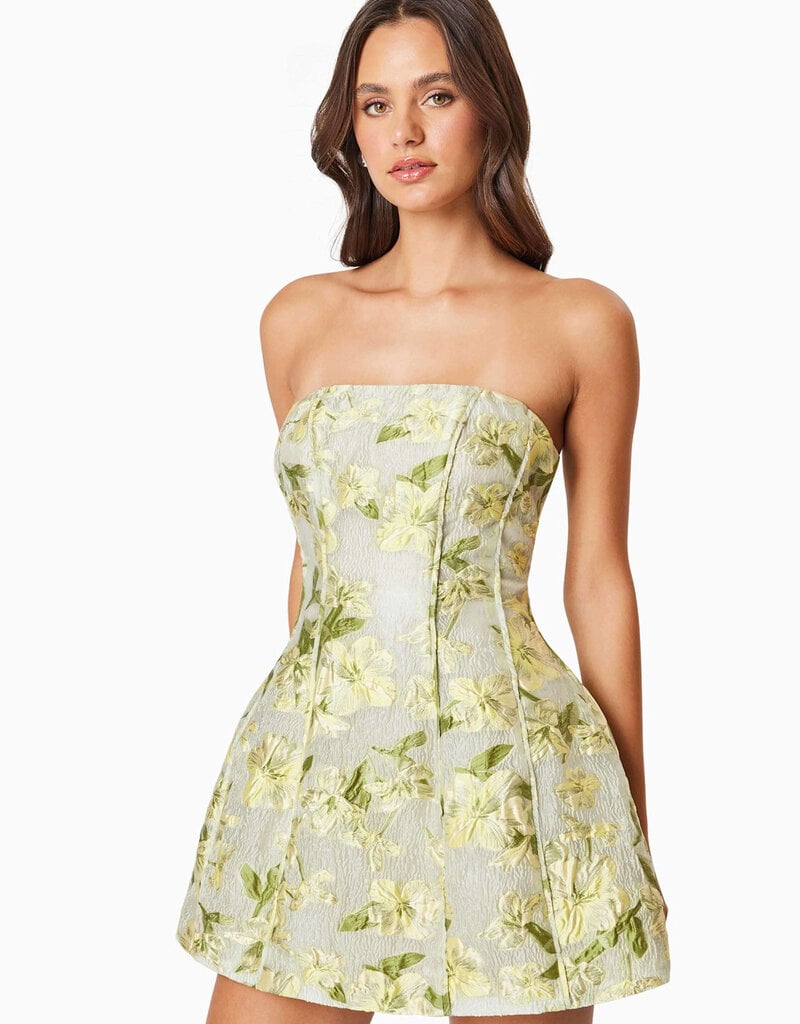 Elliatt Darner Floral Jacquard Strapless Mini Dress