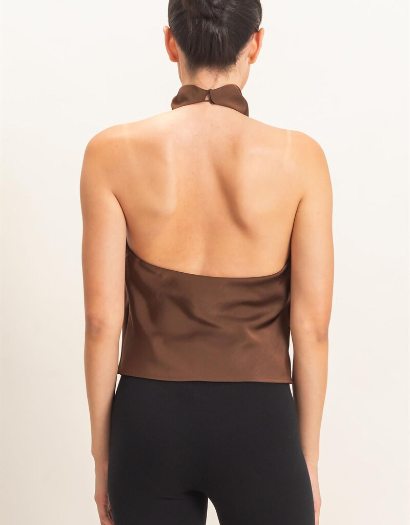 Zora Satin High Cowl Neck Halter Top