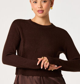 ASTR Juliette Mixed Media Lace Trim Sweater