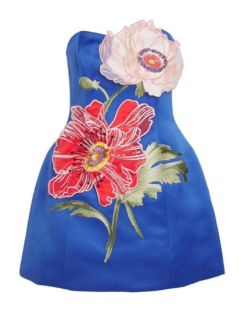 Jovie Vintage Floral Embroidered Strapless Mini Dress