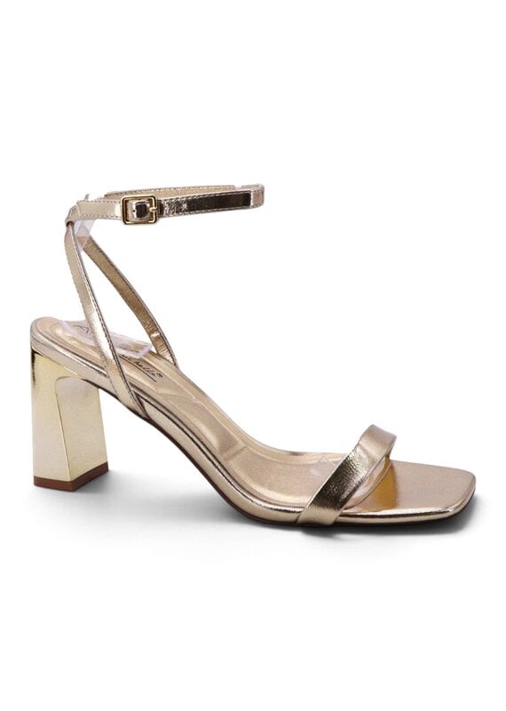 Lori Open Toe Ankle Strap Chunky Heel