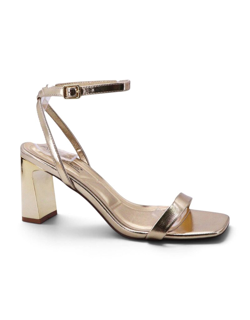 Lori Open Toe Ankle Strap Chunky Heel