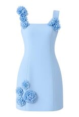 Nolyn Square Neck 3D Floral Mini Dress