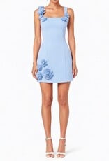 Nolyn Square Neck 3D Floral Mini Dress