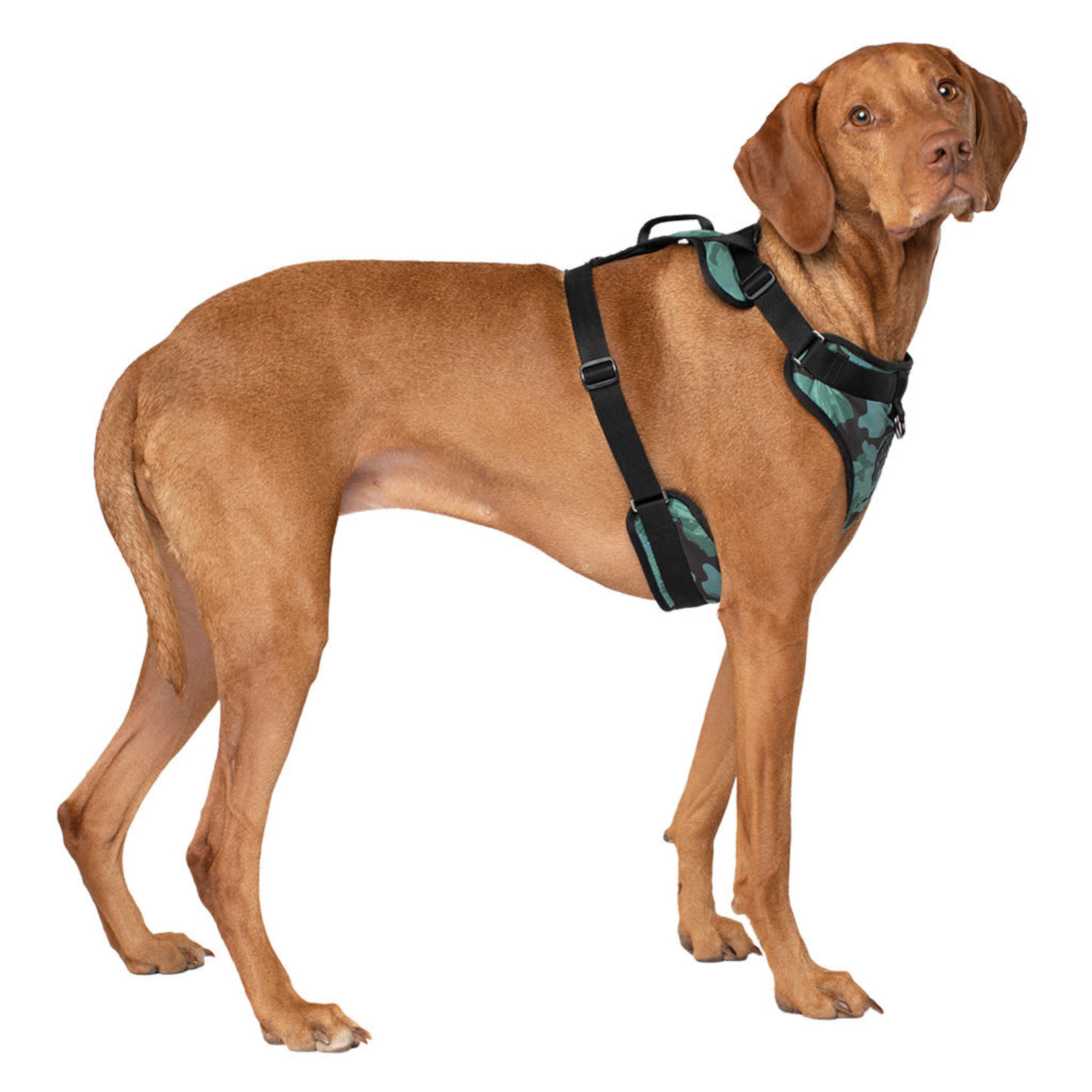 Canada Pooch Everything Harness Camo