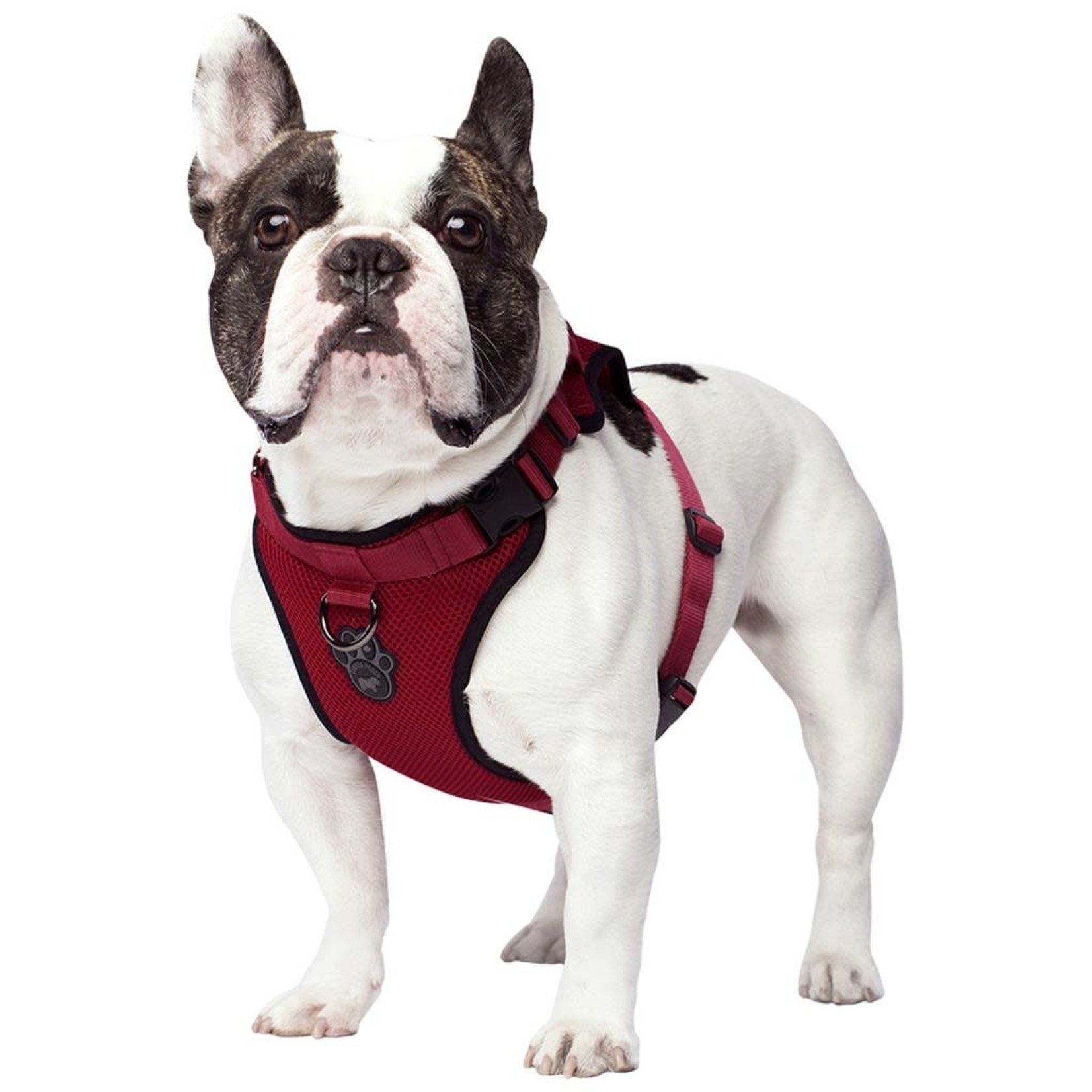 Canada Pooch Canada Pooch Everything Harness Red