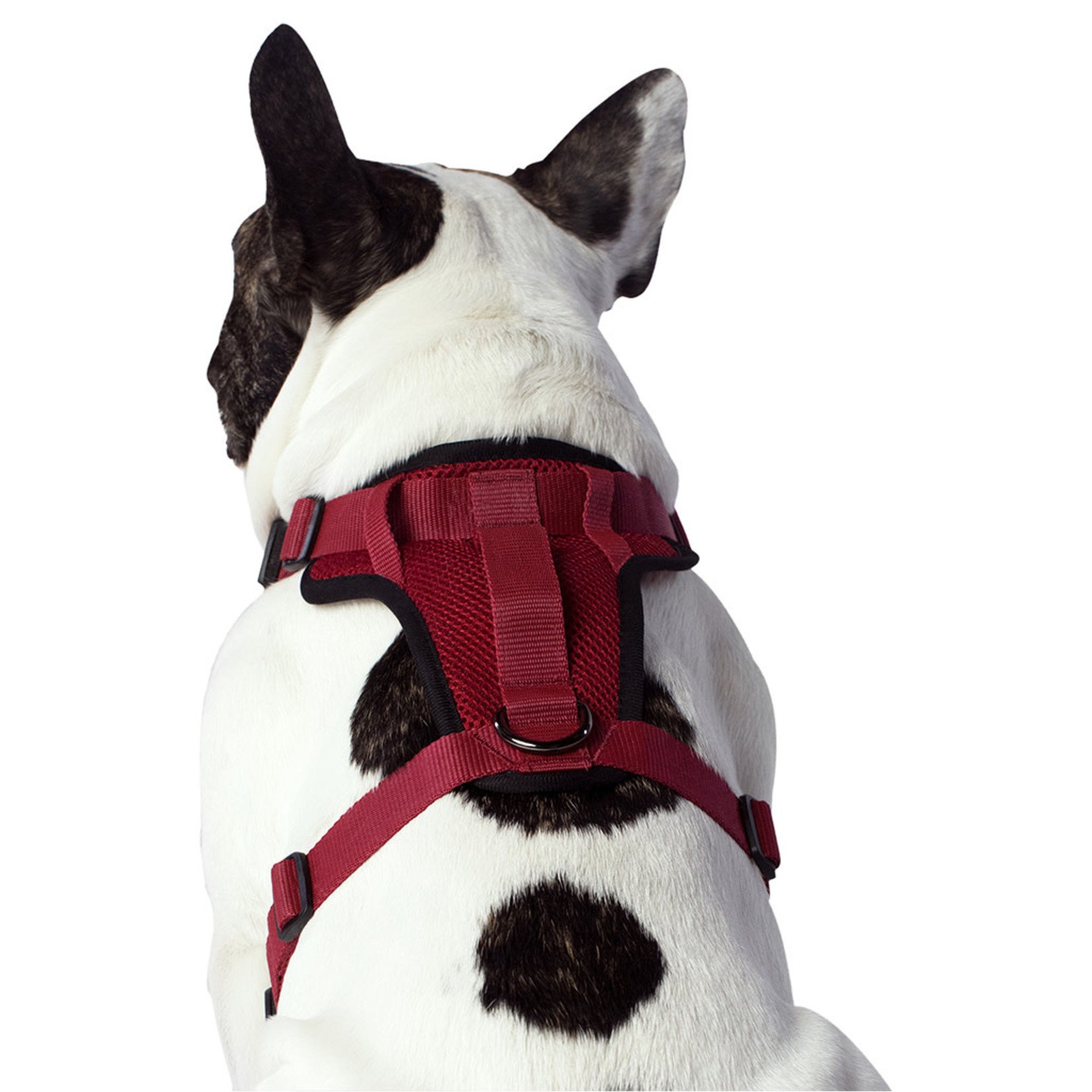 Canada Pooch Everything Harness Red