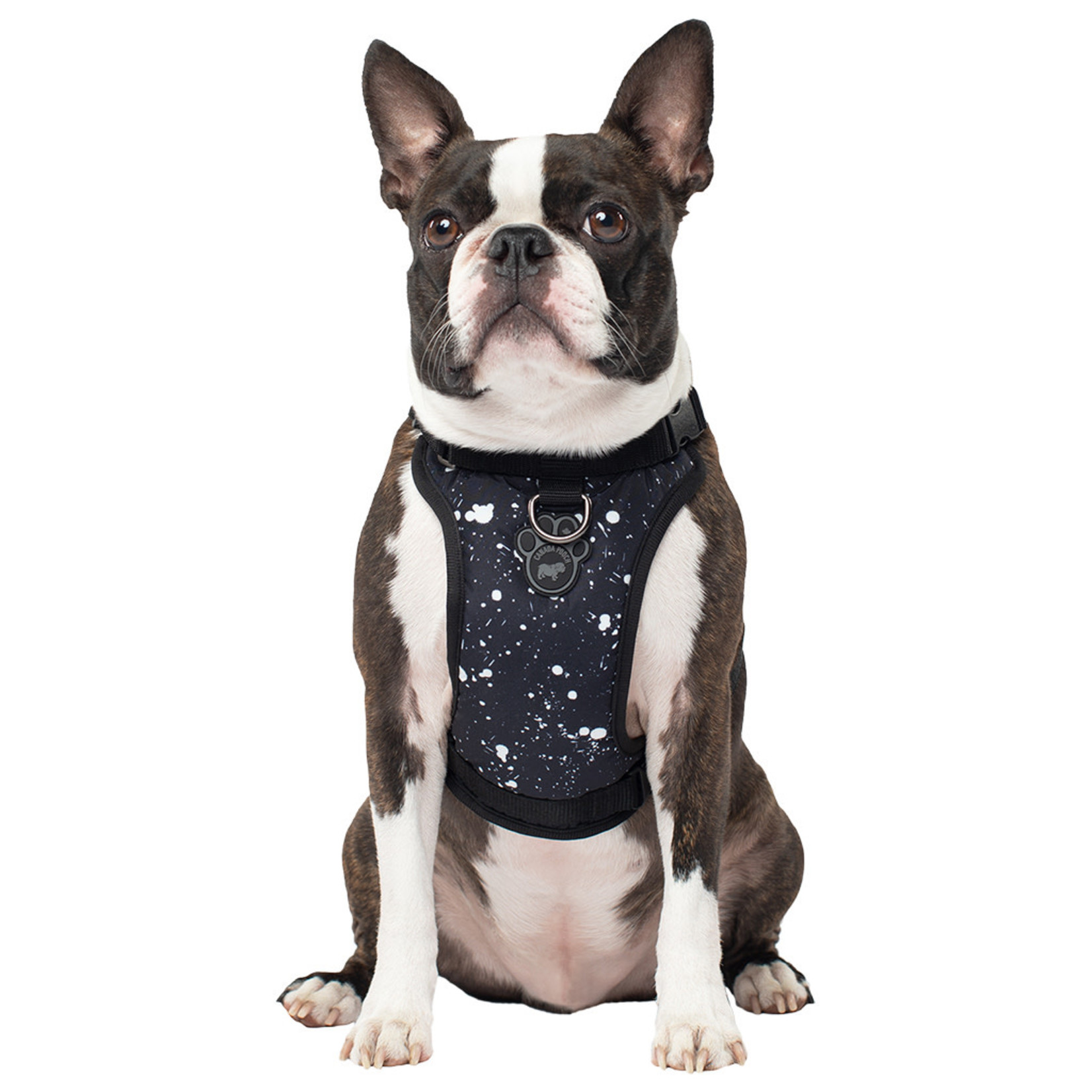 Canada Pooch Canada Pooch Everything Harness Splatter