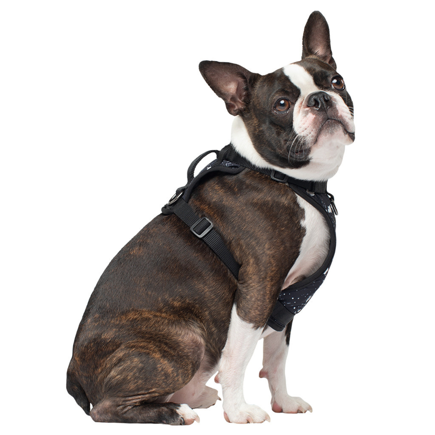 Canada Pooch Canada Pooch Everything Harness Splatter