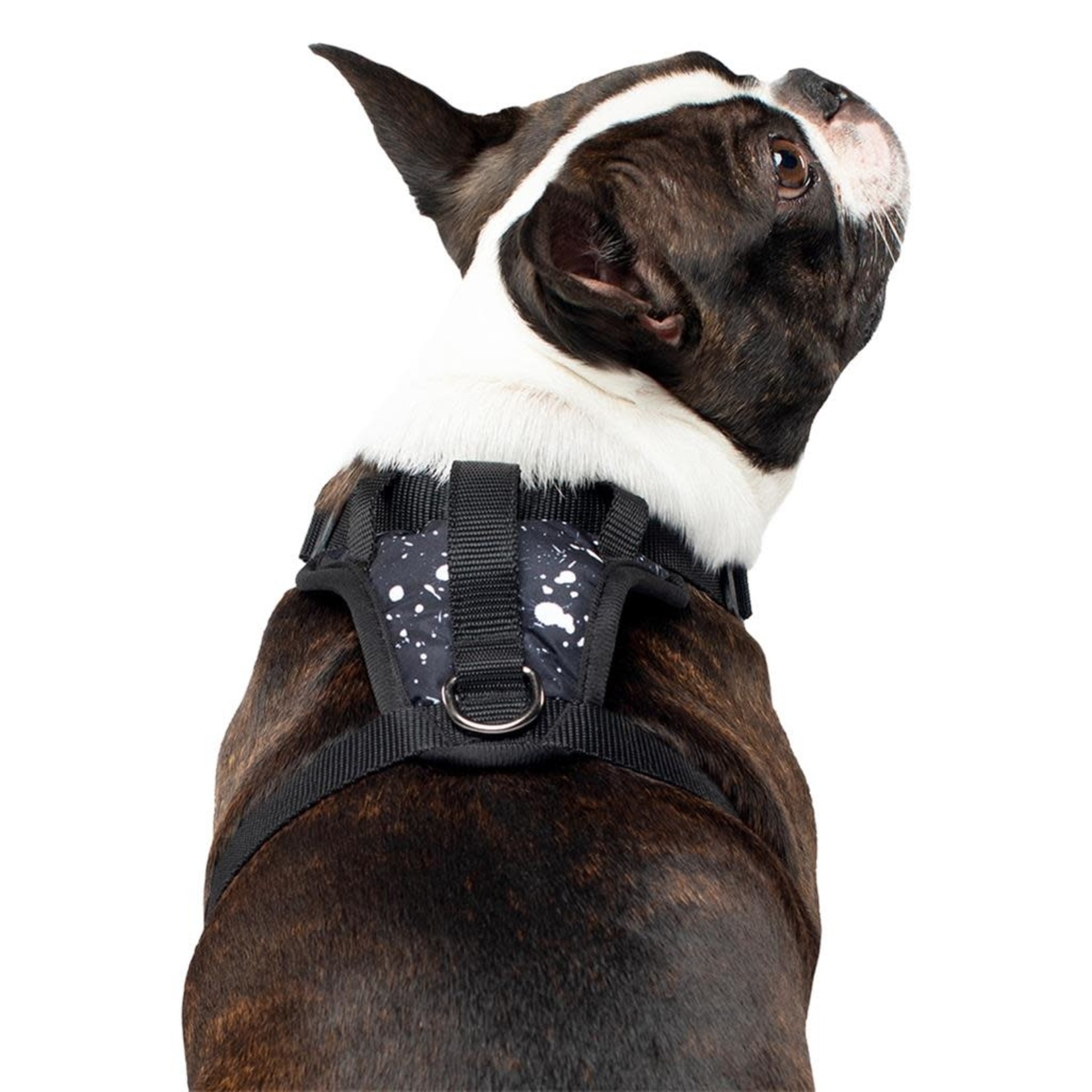 Canada Pooch Canada Pooch Everything Harness Splatter