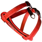 Chest plate Harness Dog Red