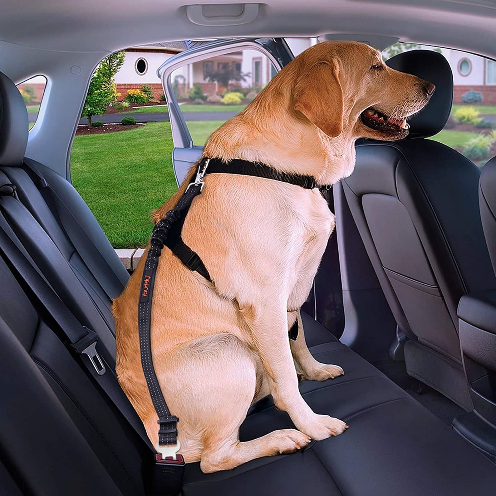 Adjustable Car Seat Belt