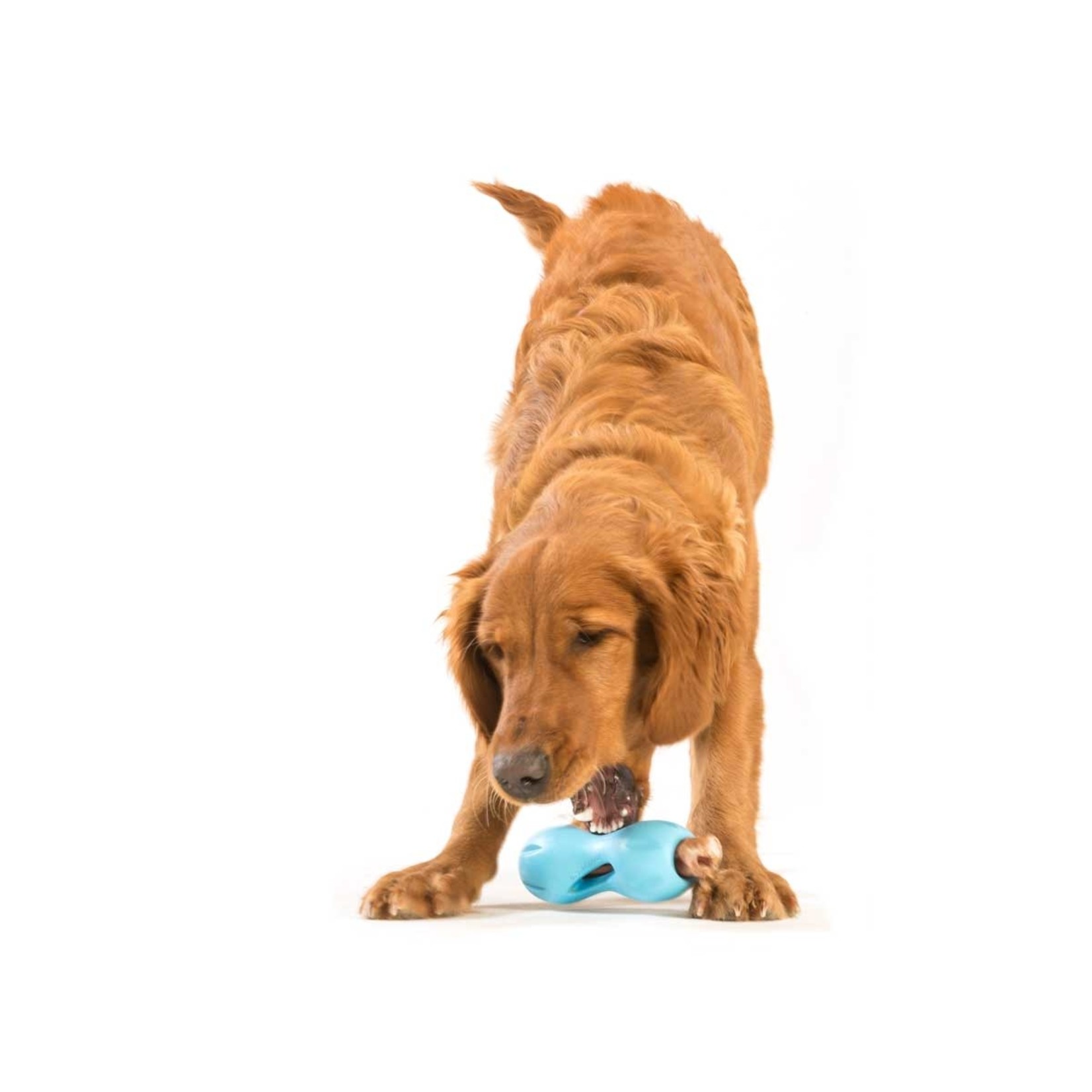 West Paw Qwizl Large 6.5" - Aqua Blue dog toy