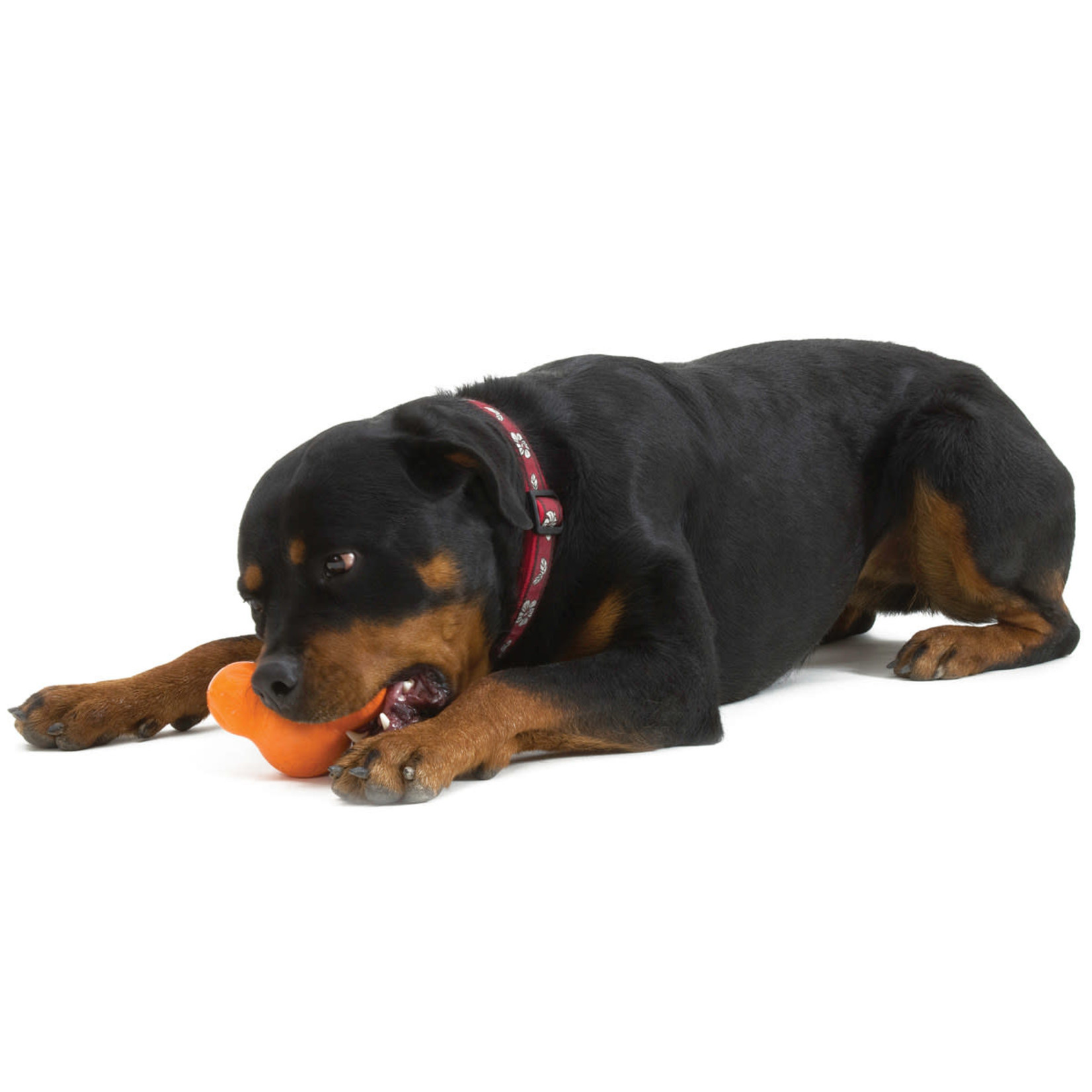 Tux Large 5" - orange dog toy