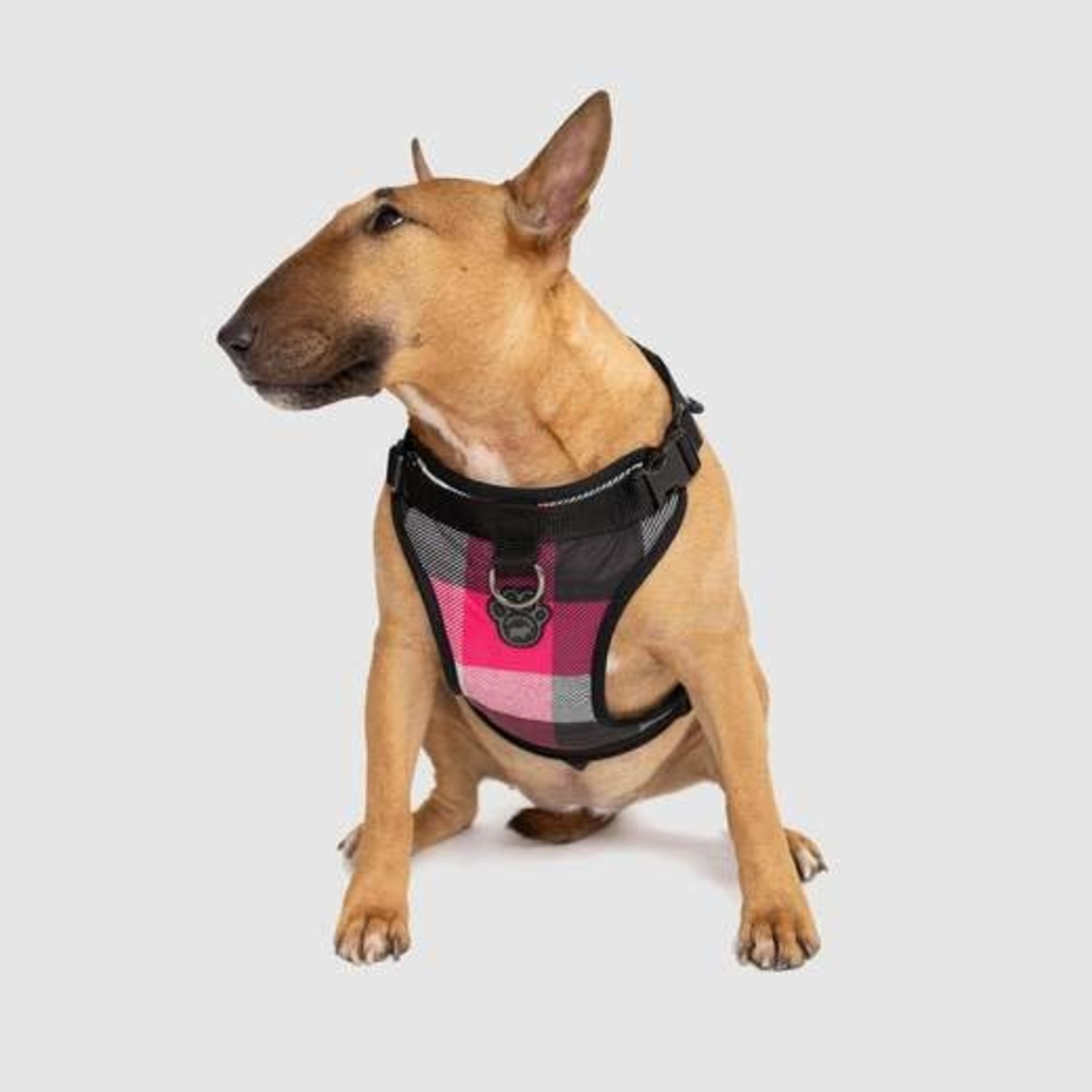 Canada Pooch Everything Harness Pink Plaid