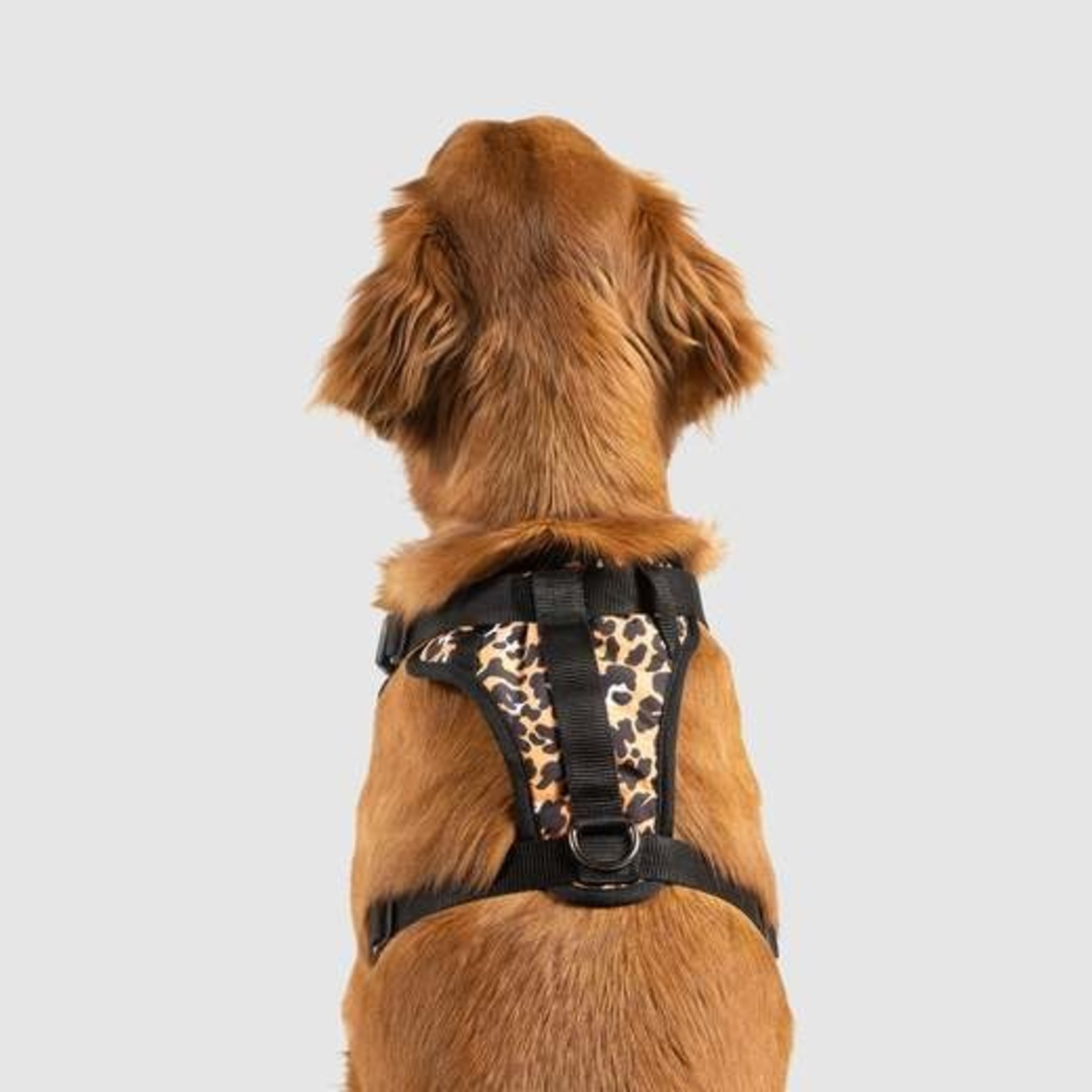 Canada Pooch Everything Harness Leopard