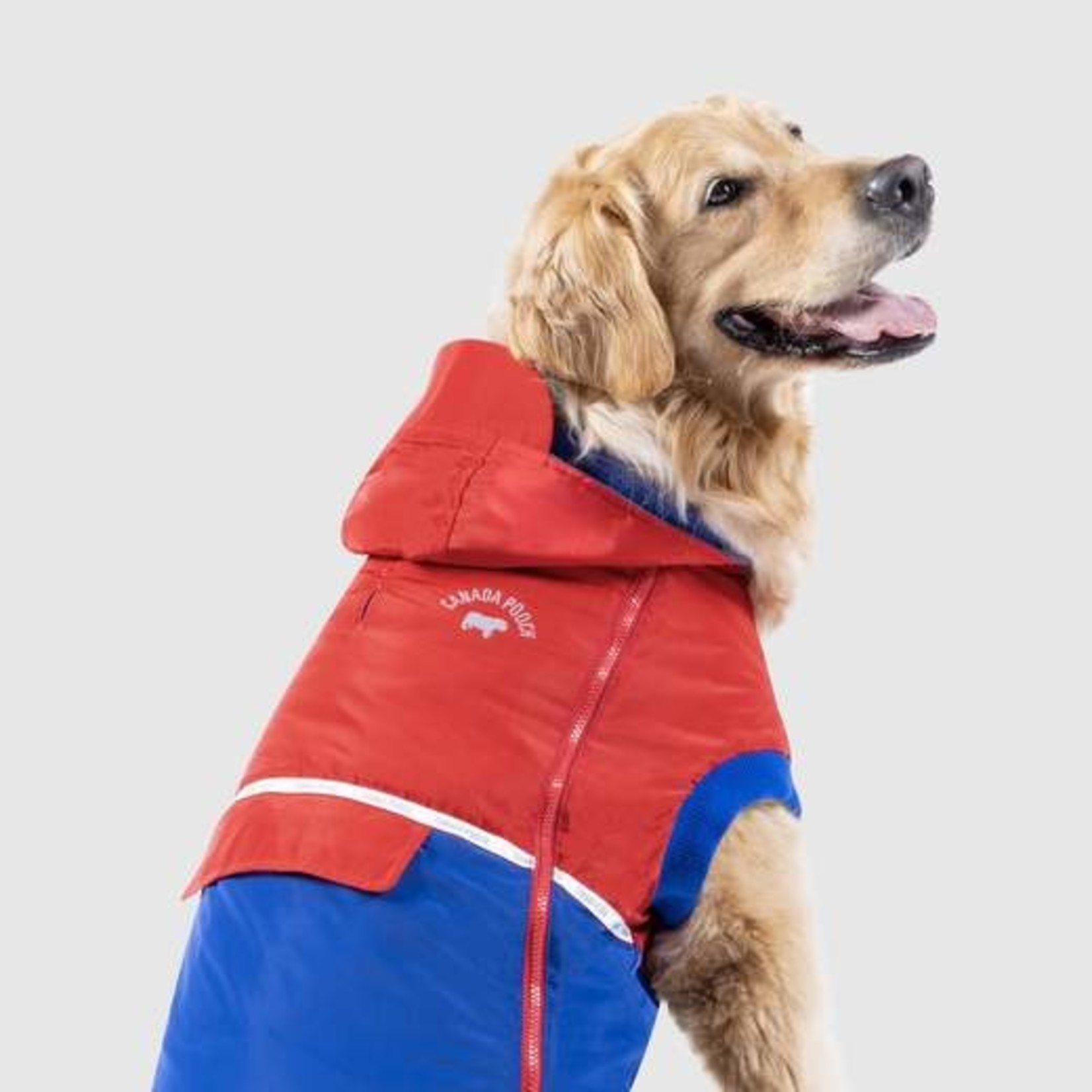 Canada Pooch Canada Pooch Jacket Red& Blue