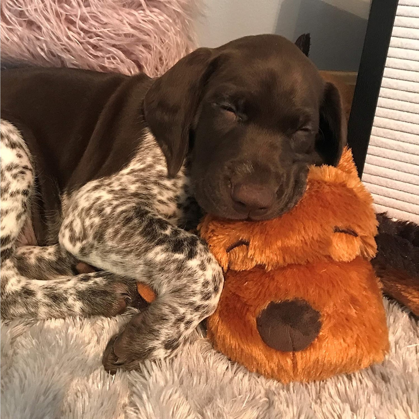 Snuggle Puppy Brown