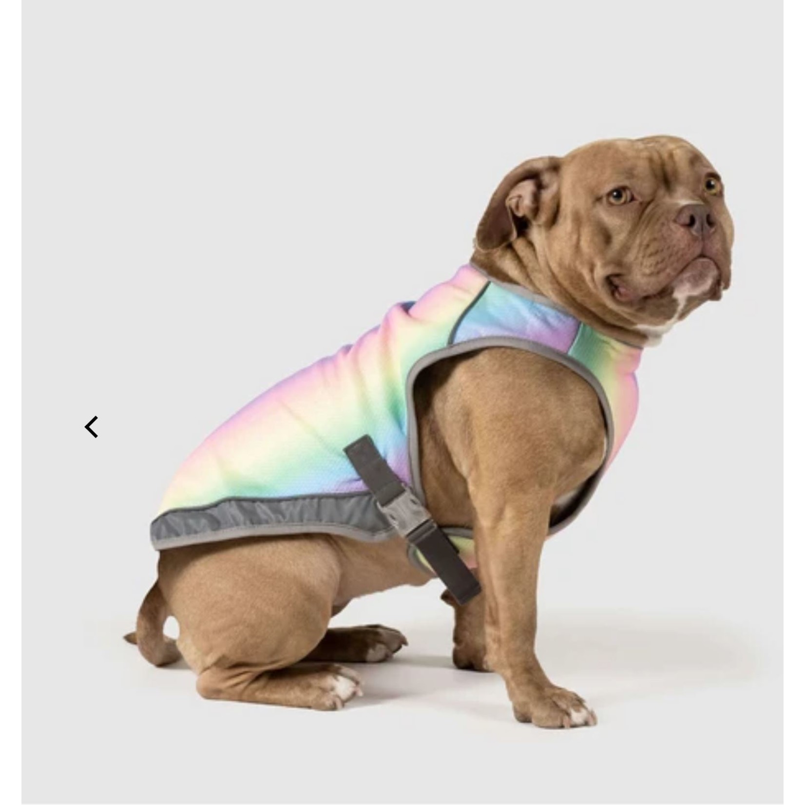 Canada Pooch Canada Pooch Cooling Vest Rainbow