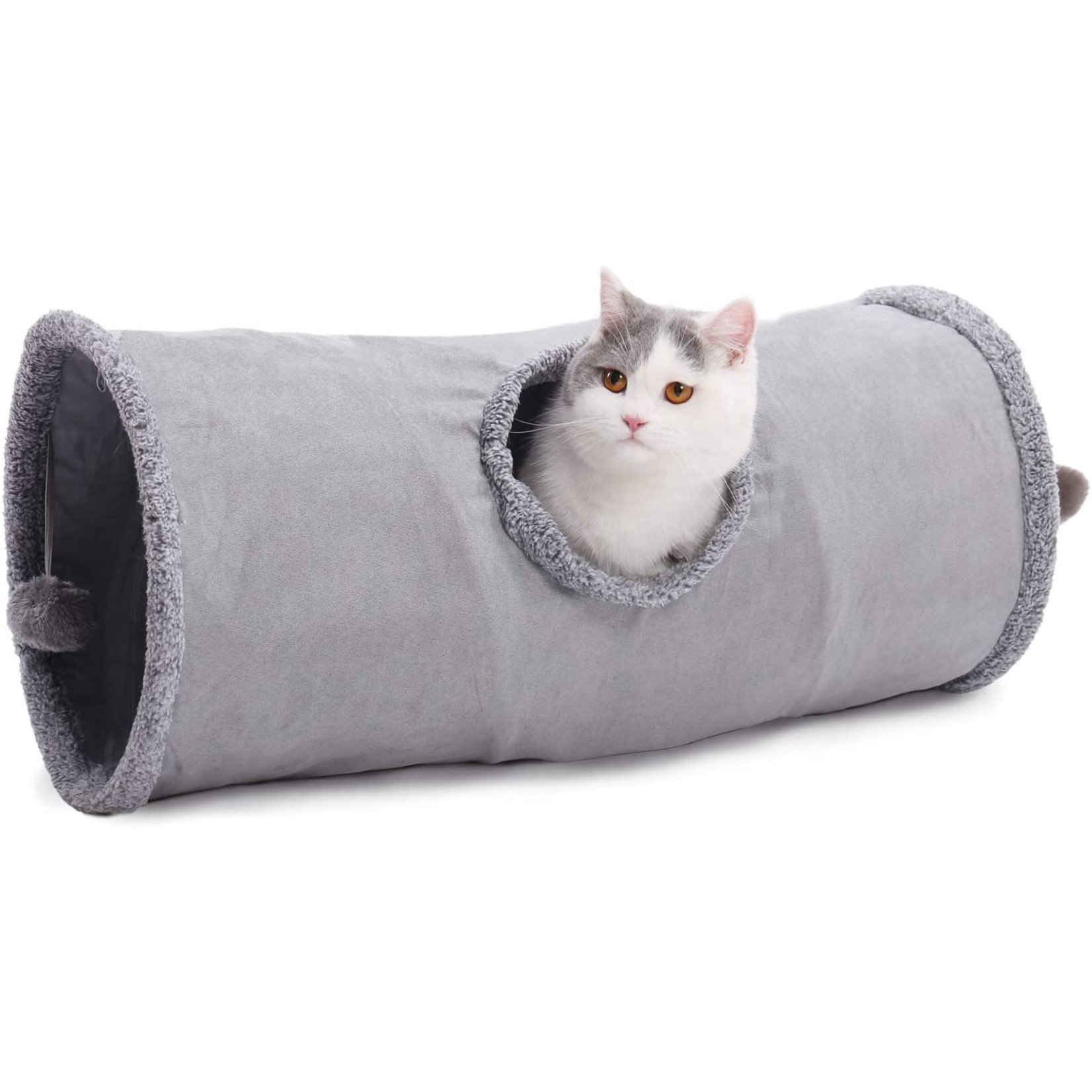 Cat tunnel