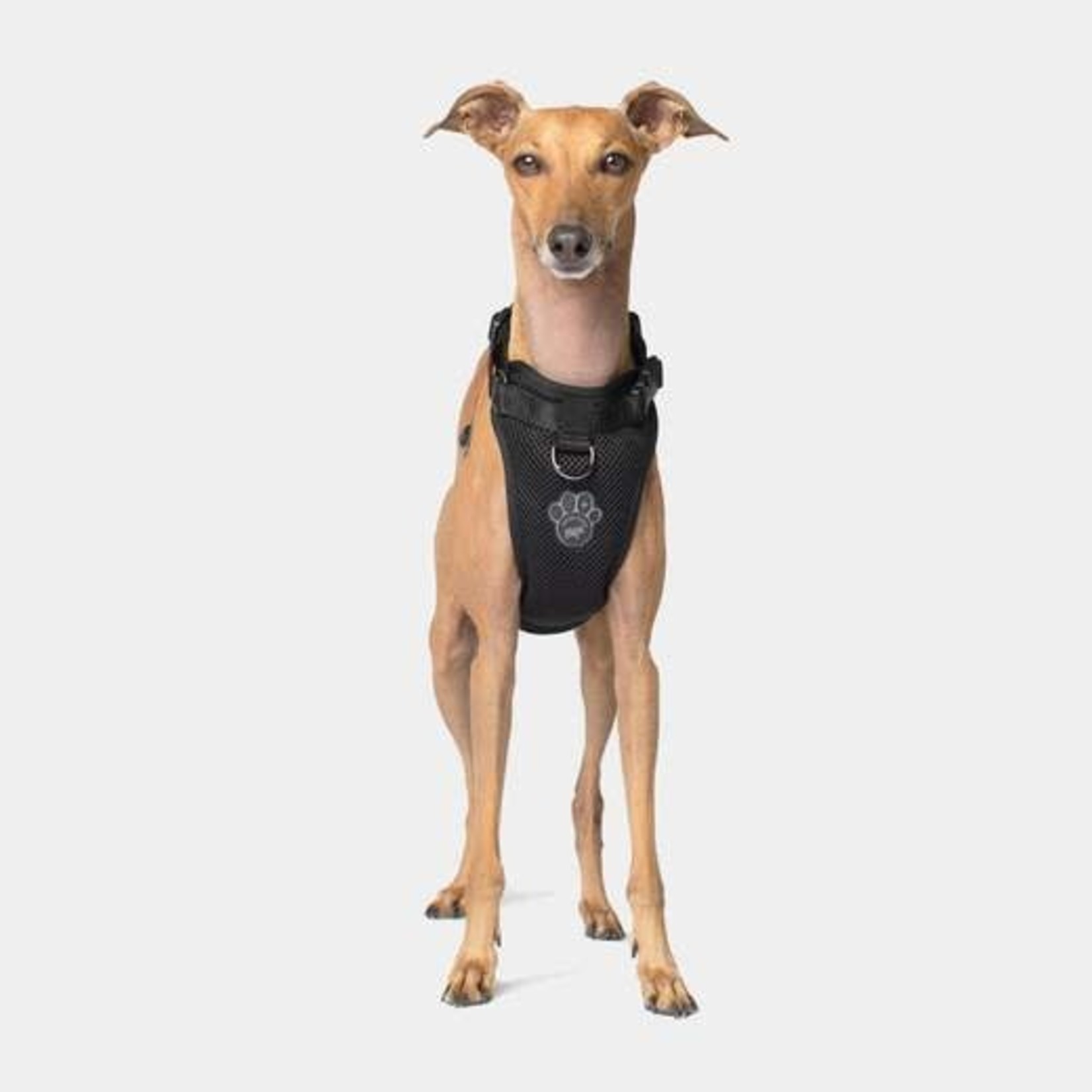 Canada Pooch Canada Pooch Everything Harness Mesh Black