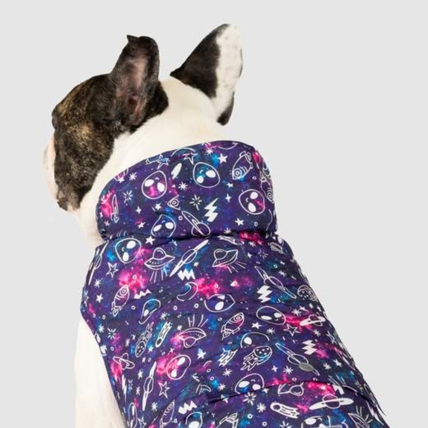 Canada Pooch Canada Pooch Rain Poncho Glow