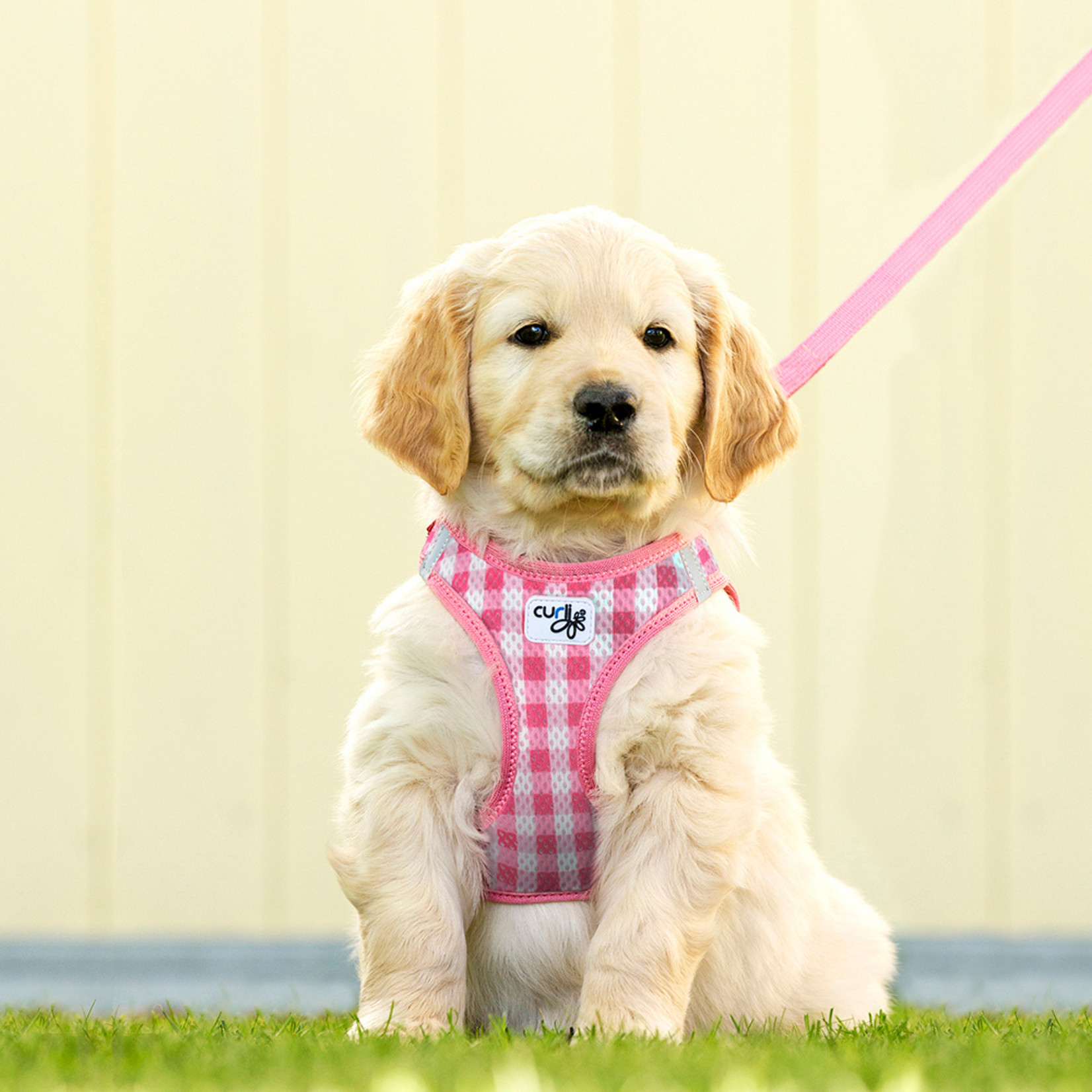 Curli puppy Vest Harness & leash pink