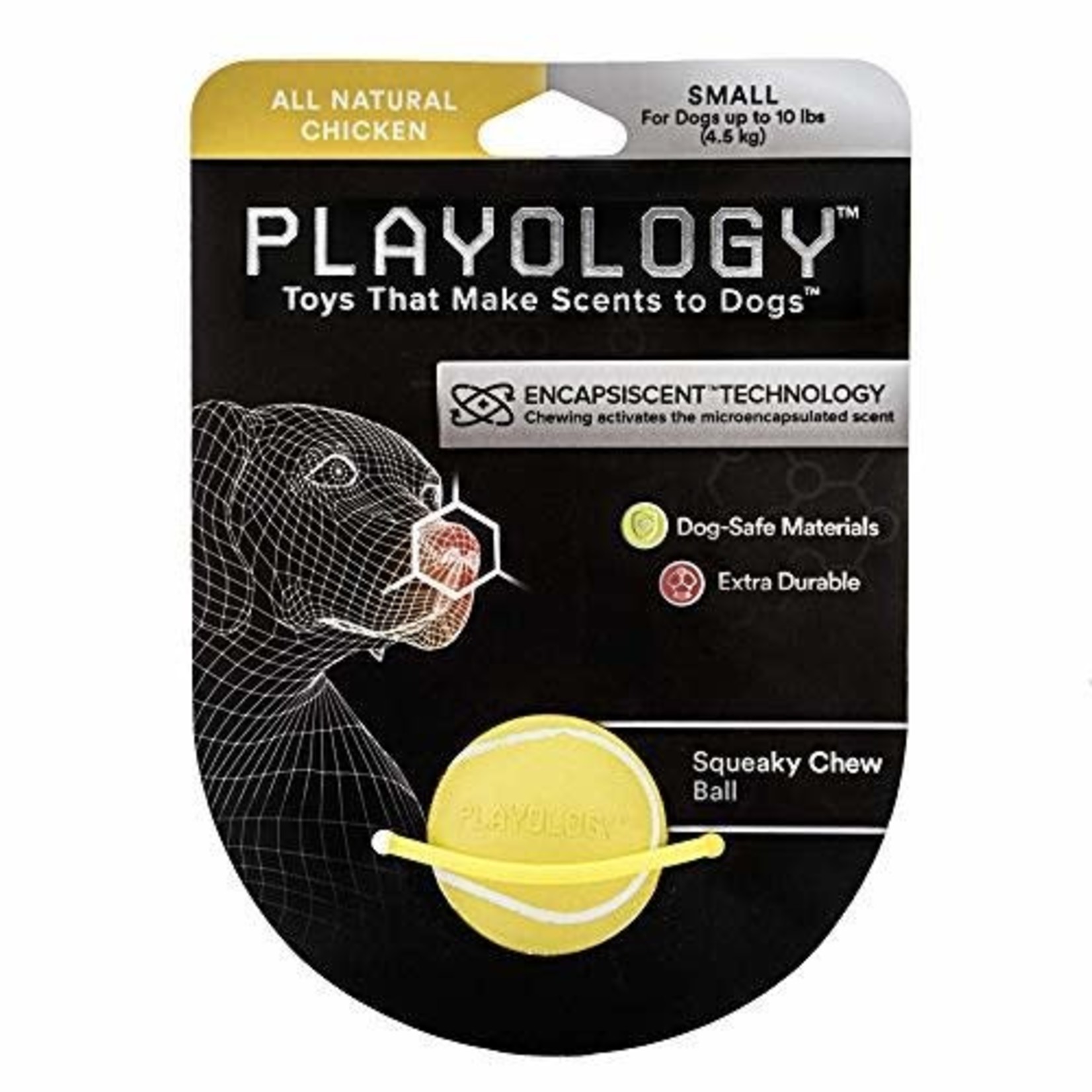 Playology  Squeaky Chew Ball Dog Toy