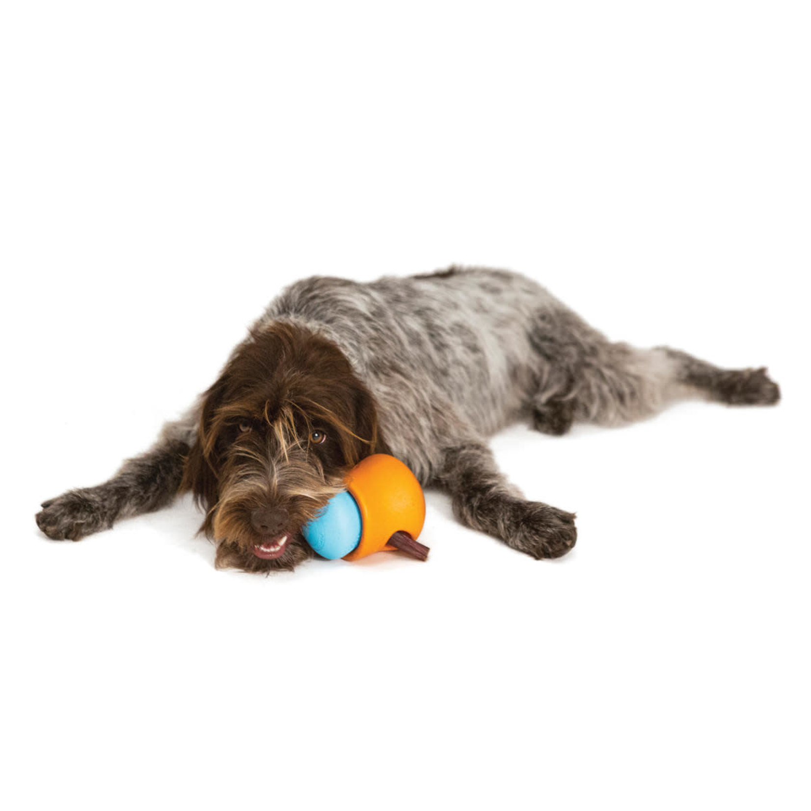 West Paw Toppl Large 4" - Tangerine dog toy/treat dispenser