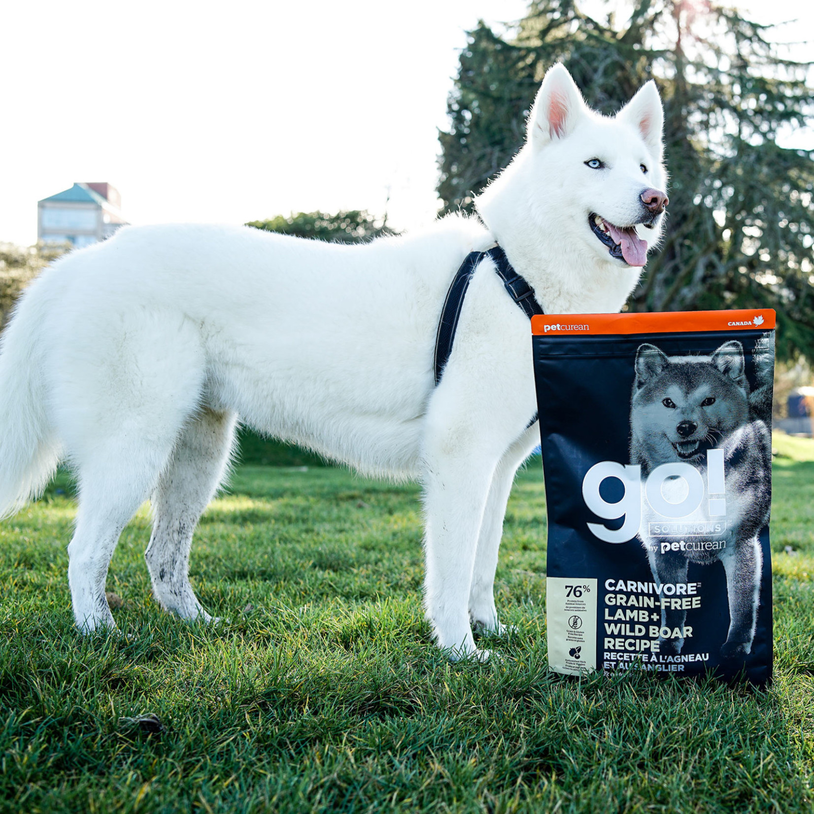 go! solutions Go! Dog Carnivore Grain free lamb & Wild Boar