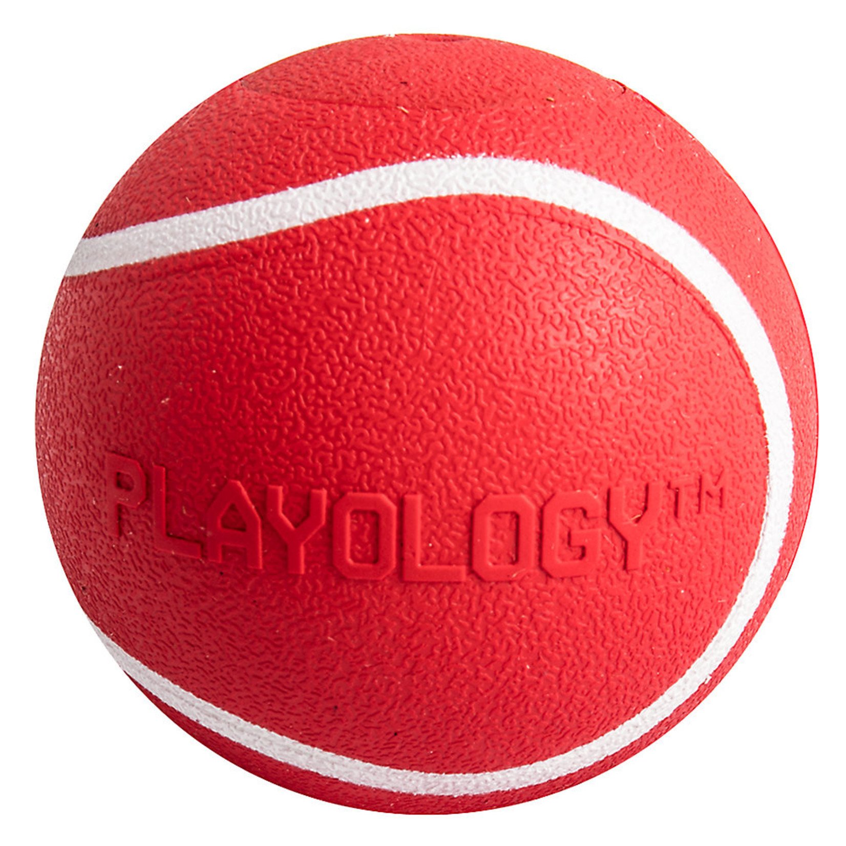 Playology  Squeaky Chew Ball Dog Toy