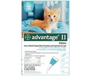 Petco kitten flea treatment top
