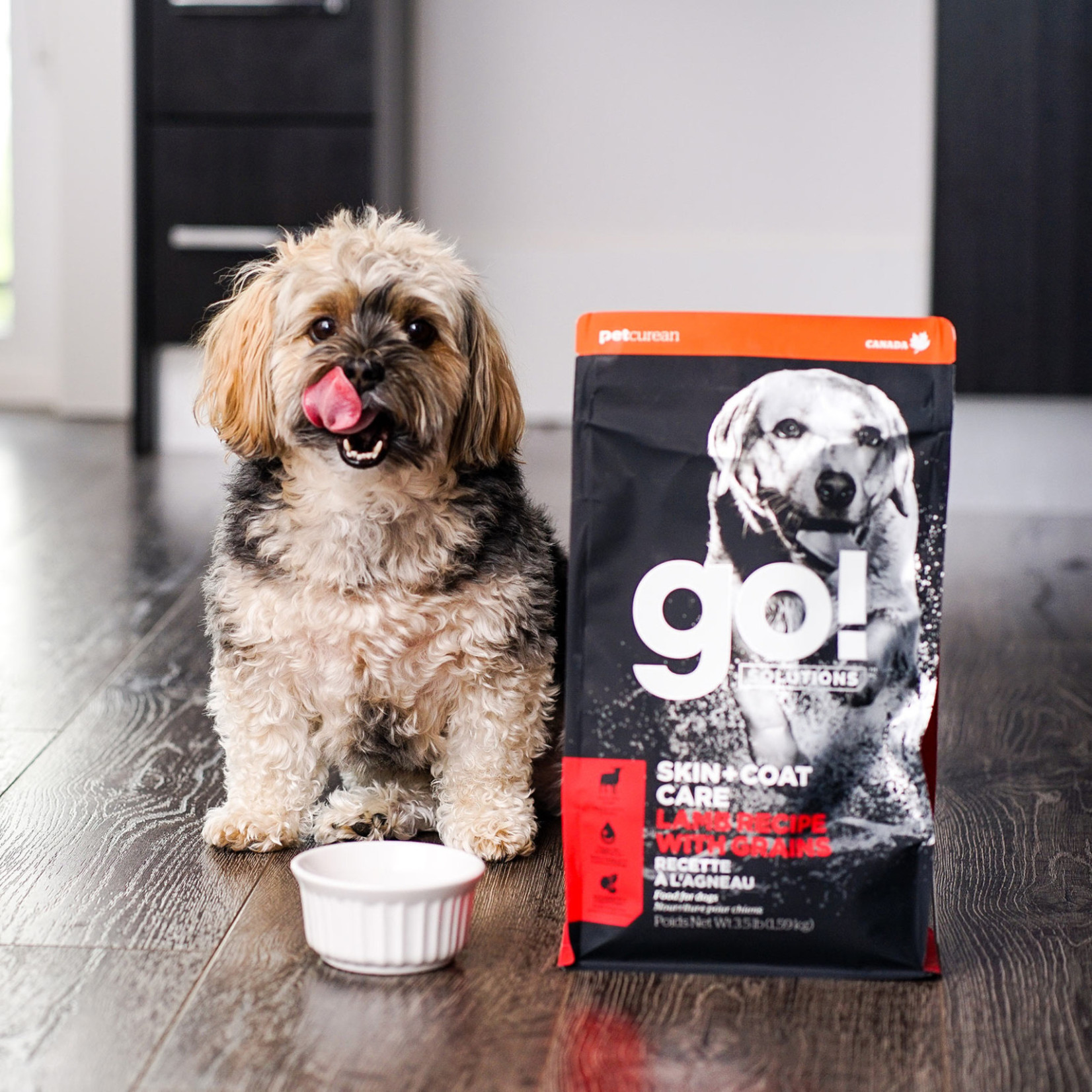 go! solutions GO! Dog Skin & Coat Care Lamb Recipe with grains