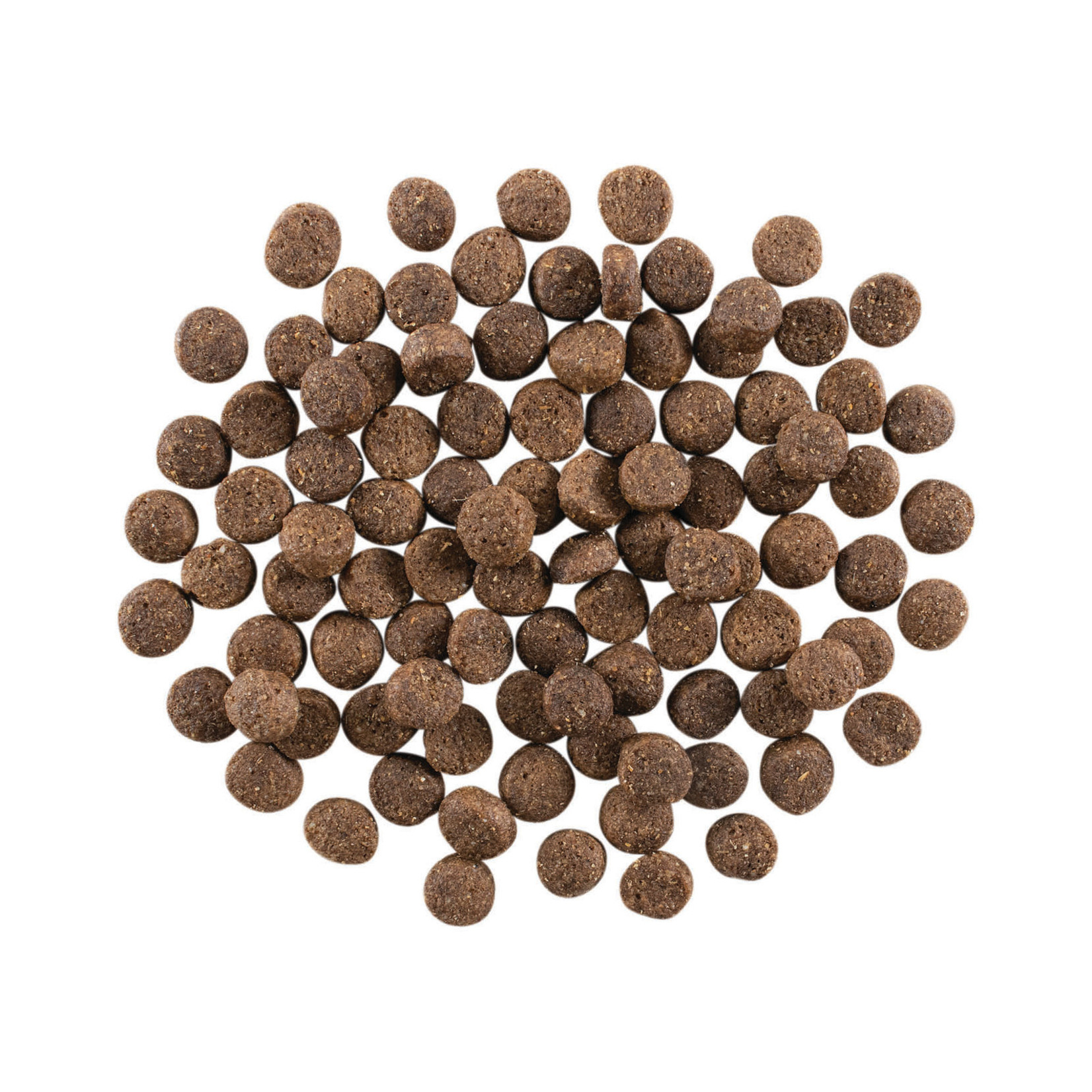 go! solutions GO! Dog Skin & Coat Care Lamb Recipe with grains