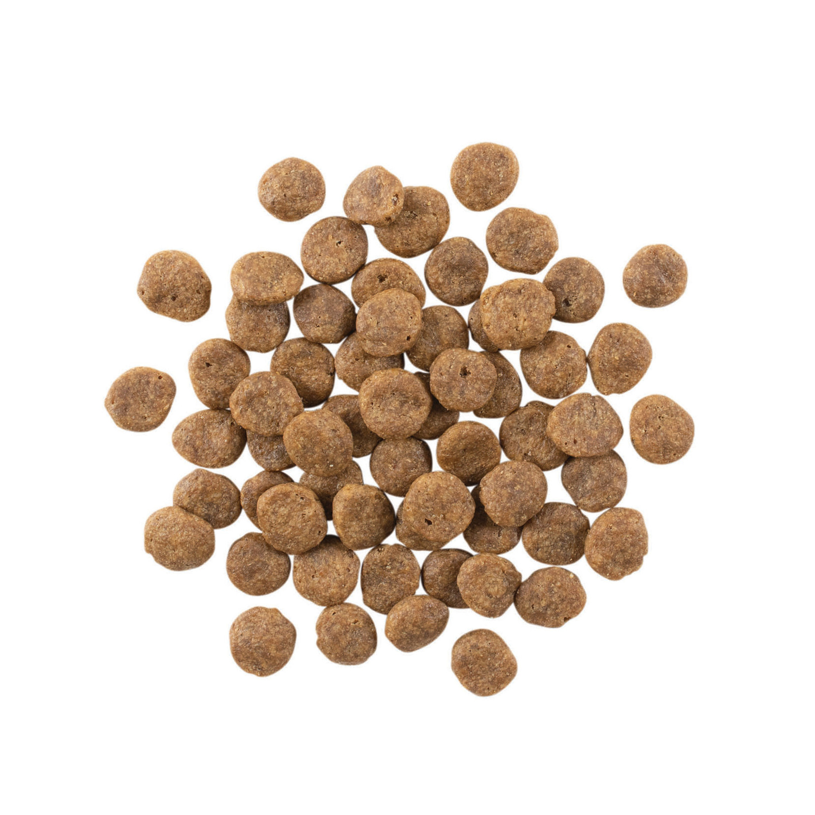 go! solutions Go! Dog Sensitivities LID GF Salmon