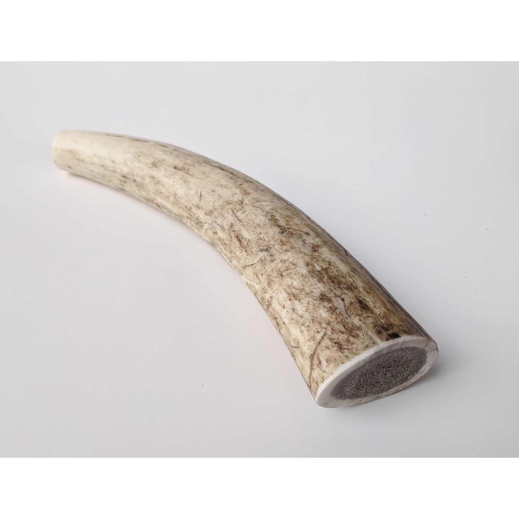 EZ Antler EZ  Antler Medium whole (For dogs under 55LB)