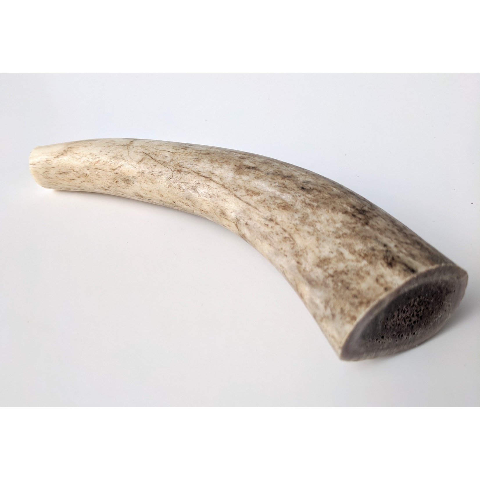 EZ Antler EZ Antler Small whole ( For Dogs under 25 LB)