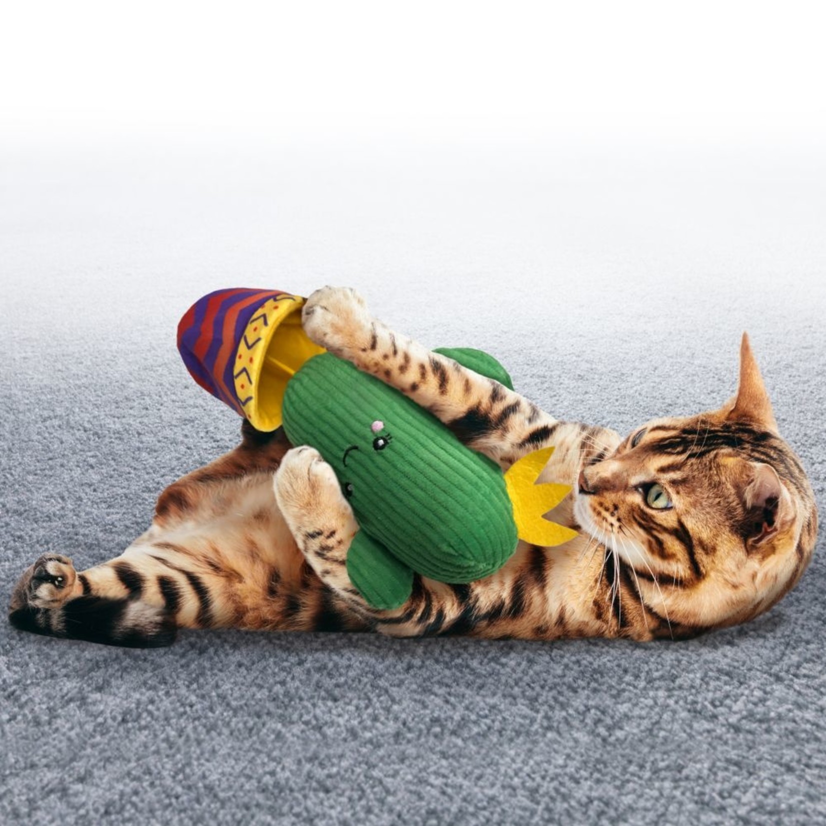 Kong Kong cactus cat toy