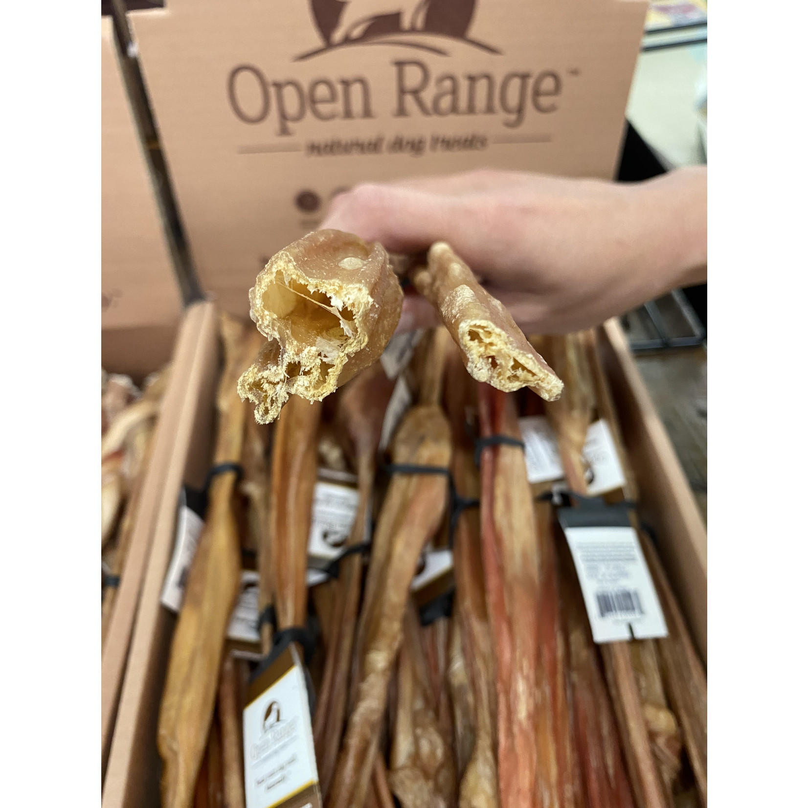 Open Range Open Range Bladder Bully Stick Junior 12 in