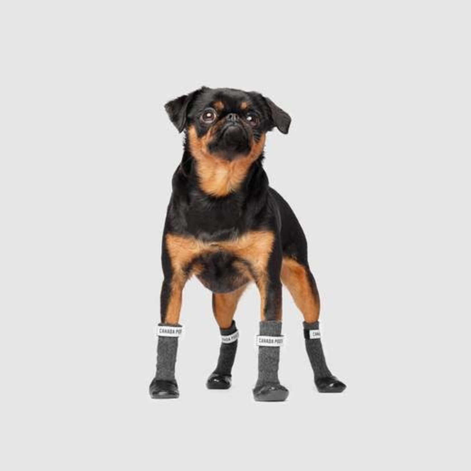 Canada Pooch Canada Pooch Secure Sock Boots Black & Grey