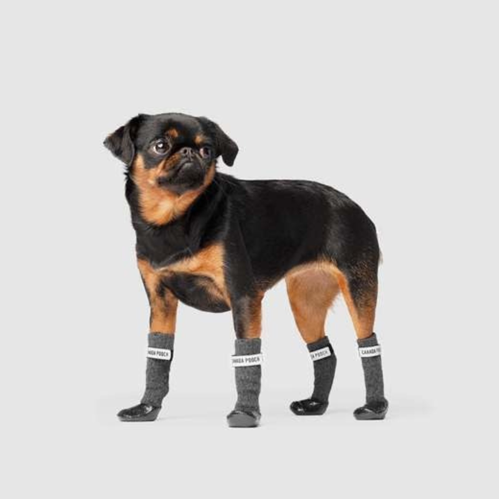 Canada Pooch Canada Pooch Secure Sock Boots Black & Grey