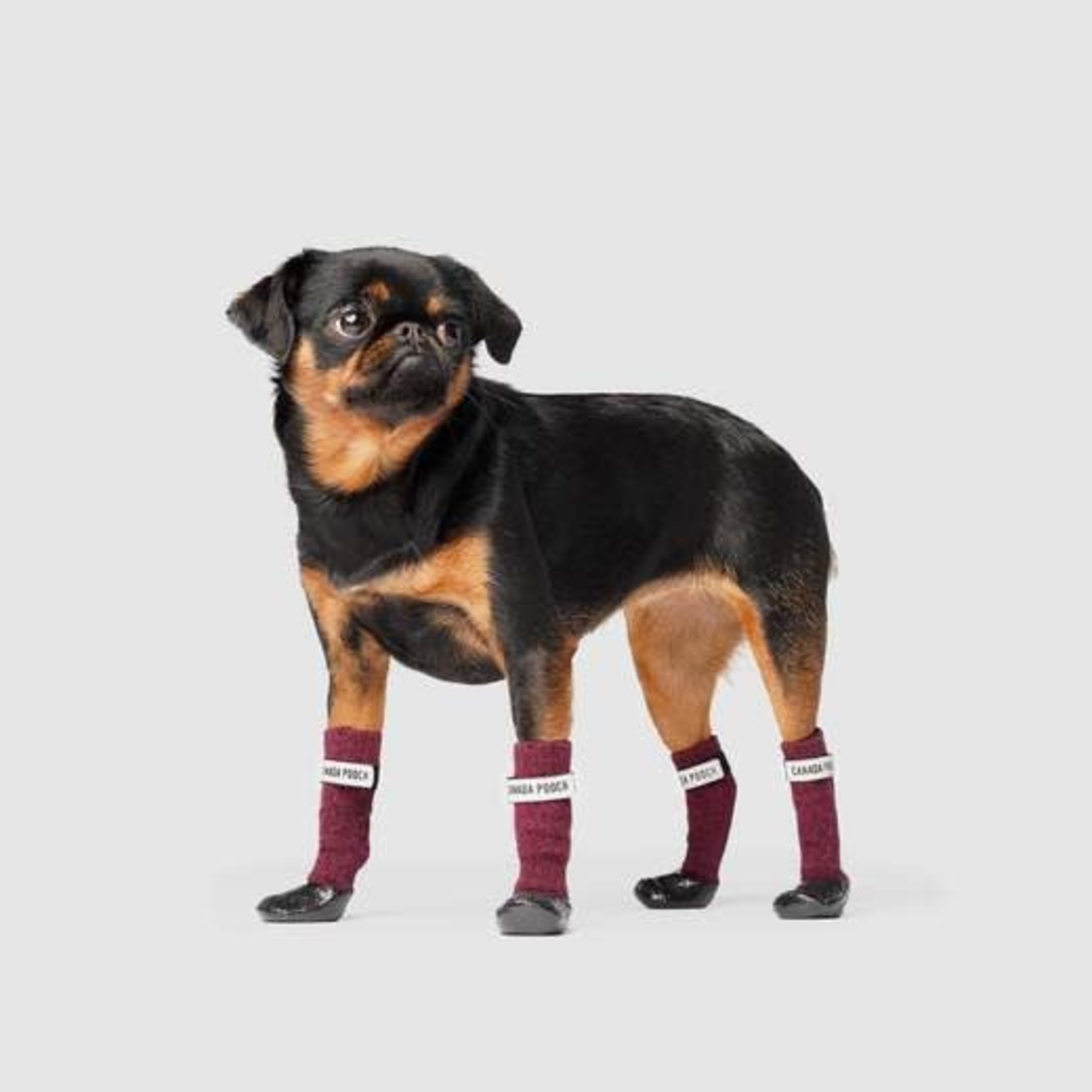 Canada Pooch Canada Pooch Secure Sock Boots Magenta