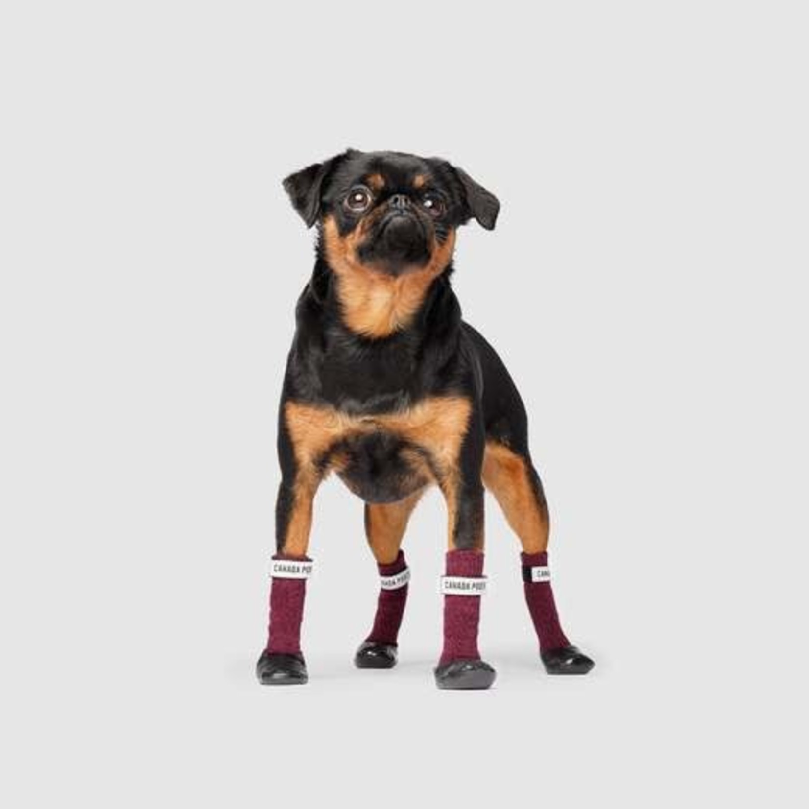 Canada Pooch Canada Pooch Secure Sock Boots Magenta