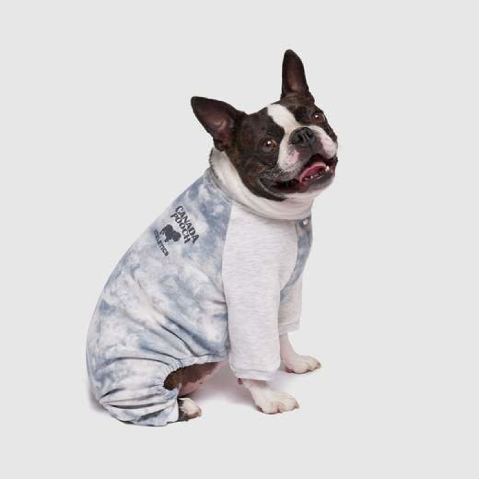 Canada Pooch Canada Pooch Frosty Fleece Sweatsuit