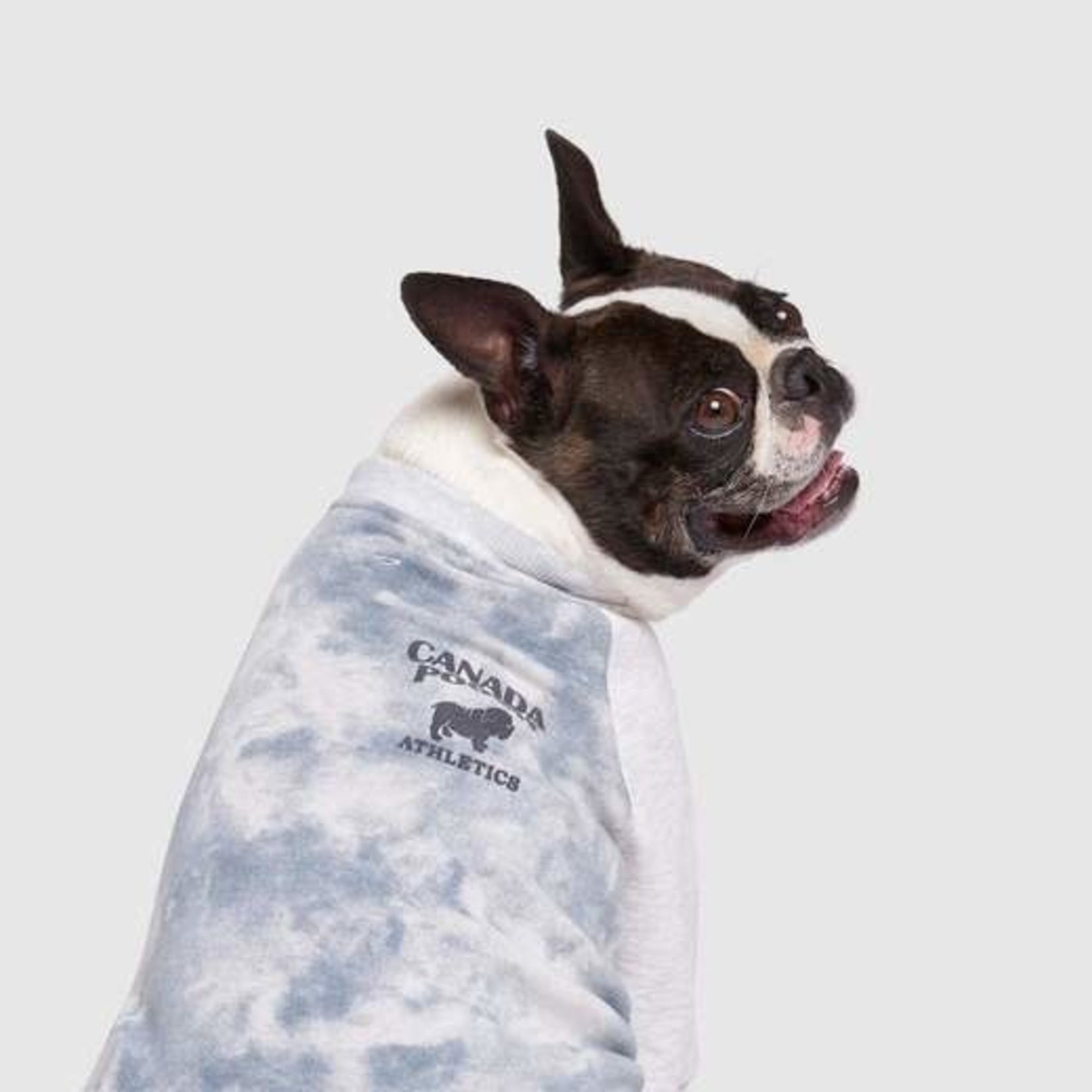 Canada Pooch Canada Pooch Frosty Fleece Sweatsuit