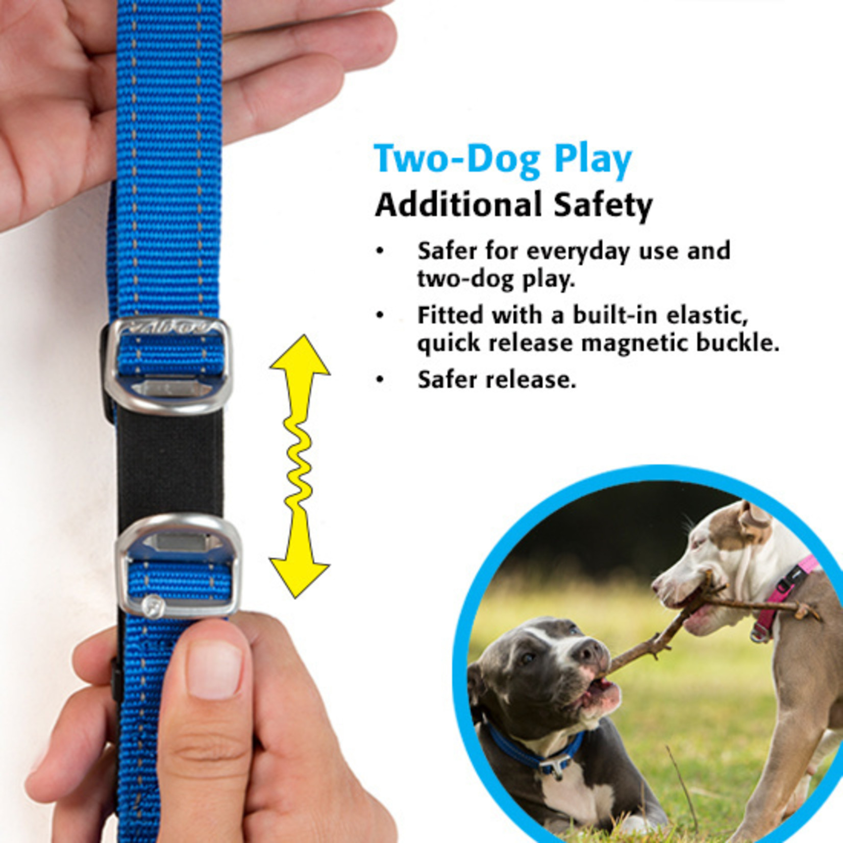 Rogz Rogz Safety Collar Neon